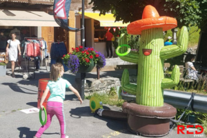 Lancer d’anneaux Cactus