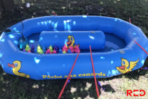 Pêche aux canards
