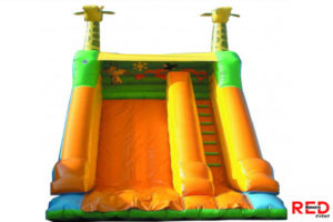Toboggan Girafe